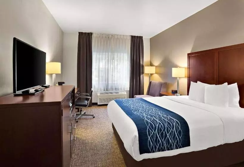 キングサイズベッドのスタンダードルーム, Comfort Inn Lacey Olympia