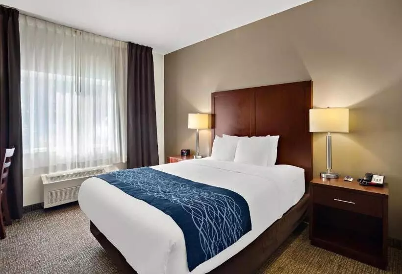 スタンダードルーム, Comfort Inn Lacey Olympia