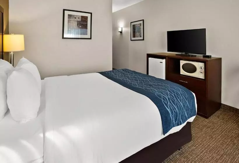 スタンダードルーム, Comfort Inn Lacey Olympia