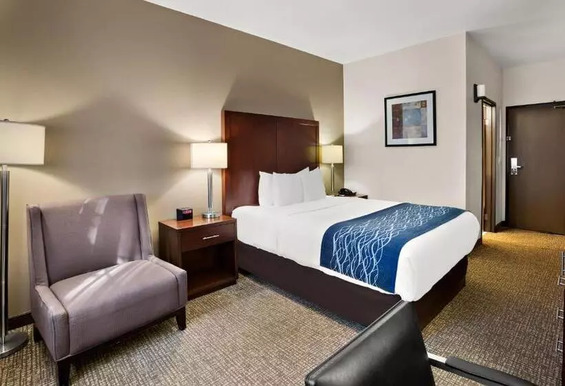 スタンダードルーム, Comfort Inn Lacey Olympia