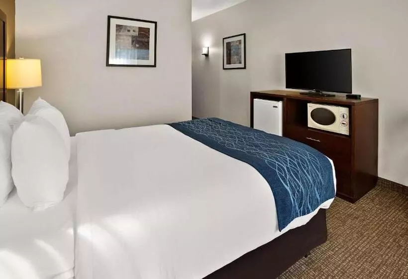 スタンダードルーム, Comfort Inn Lacey Olympia