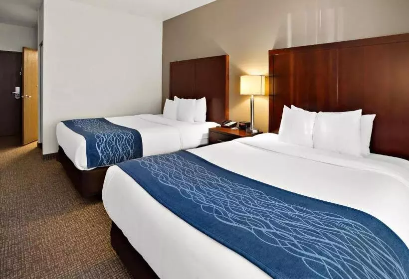 デラックススタジオ, Comfort Inn Lacey Olympia