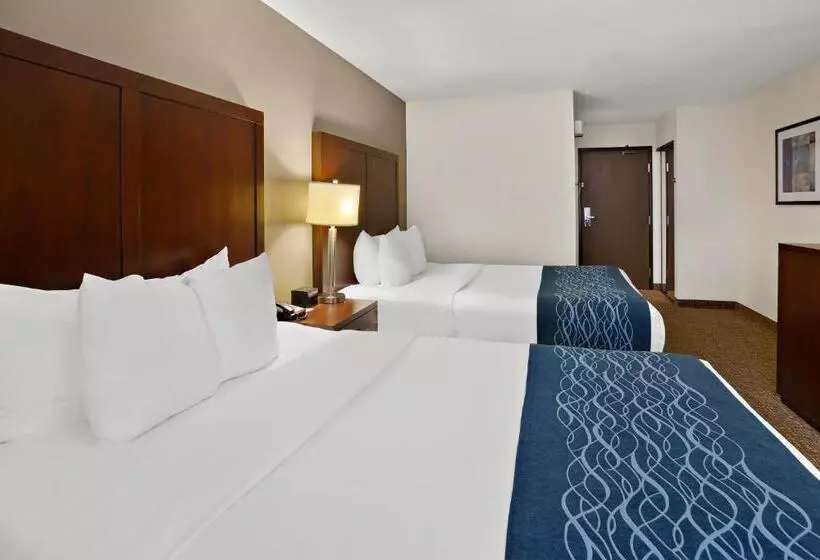 デラックススタジオ, Comfort Inn Lacey Olympia