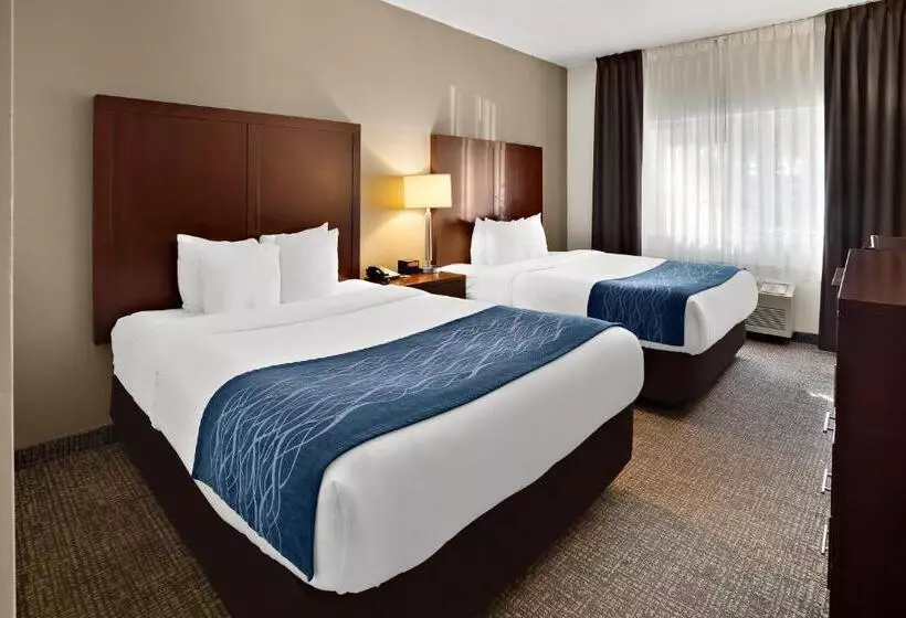 デラックススタジオ, Comfort Inn Lacey Olympia