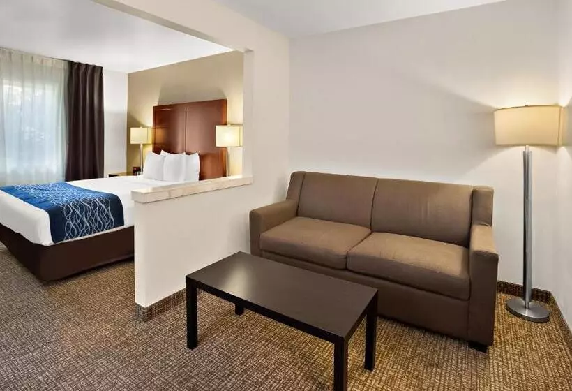 身障者適用スイートルーム, Comfort Inn Lacey Olympia