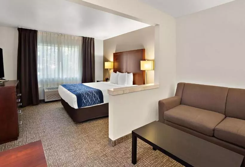身障者適用スイートルーム, Comfort Inn Lacey Olympia