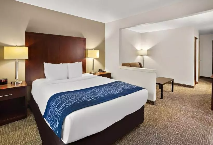 身障者適用スイートルーム, Comfort Inn Lacey Olympia