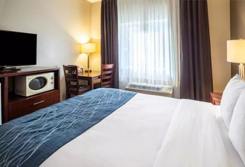 身障者適用スタンダードルーム, Comfort Inn Lacey Olympia