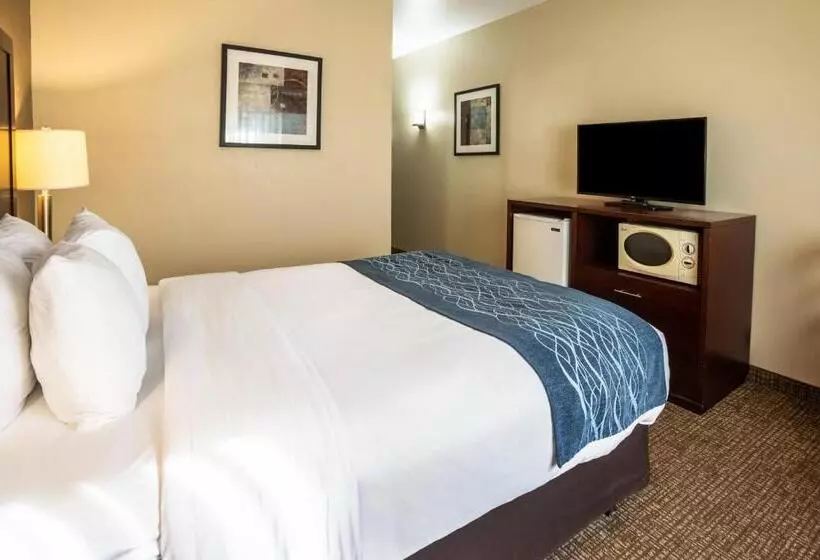身障者適用スタンダードルーム, Comfort Inn Lacey Olympia