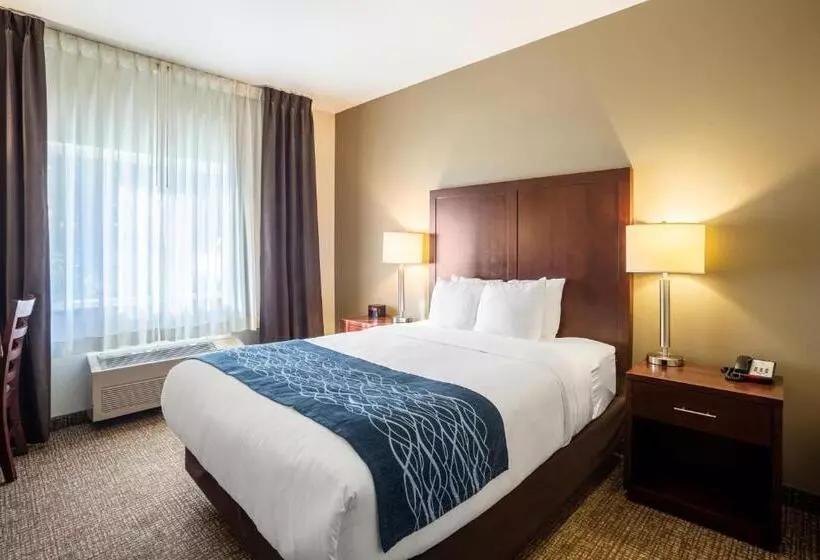 身障者適用スタンダードルーム, Comfort Inn Lacey Olympia