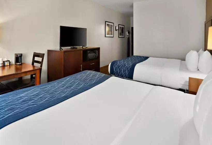 身障者適用スタンダードルーム, Comfort Inn Lacey Olympia