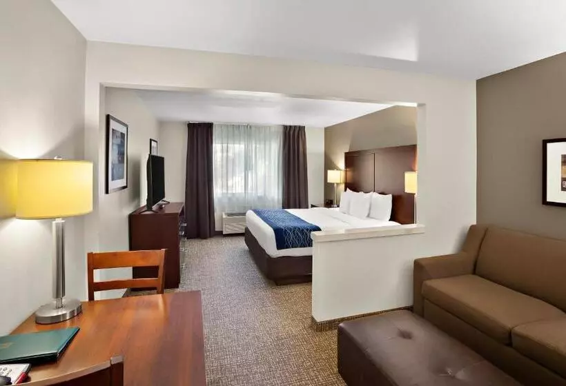 キングサイズベッドのスイートルーム, Comfort Inn Lacey Olympia