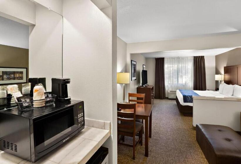 جناح سرير كينج, Comfort Inn Lacey  Olympia