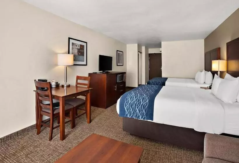 スイート, Comfort Inn Lacey Olympia