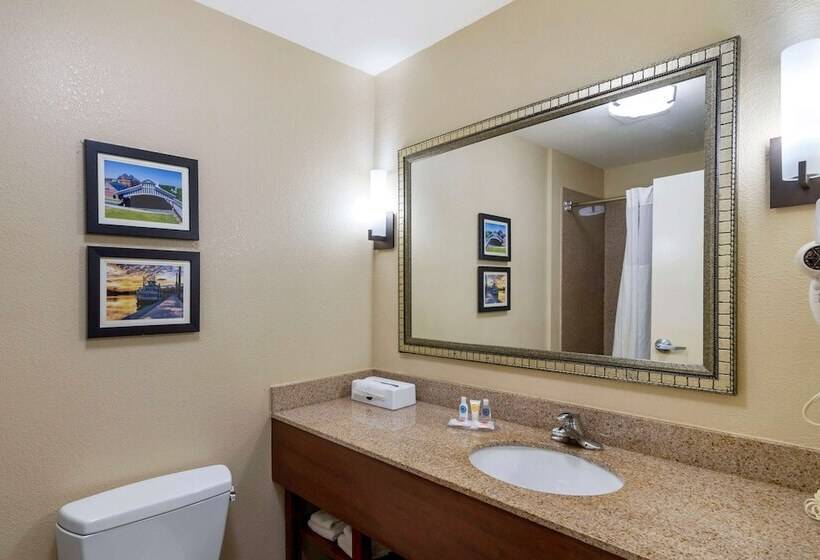 스위트, Comfort Inn & Suites Montgomery Eastchase
