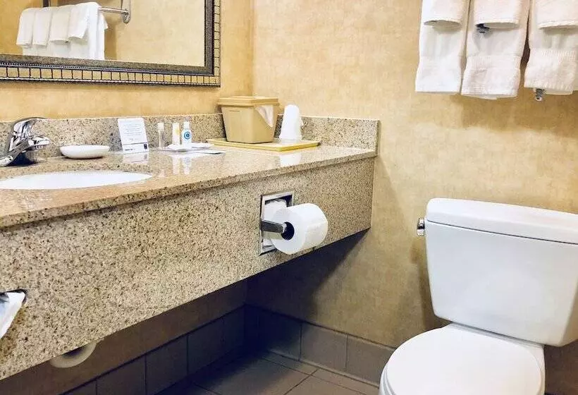スイート, Comfort Inn & Suites Montgomery Eastchase