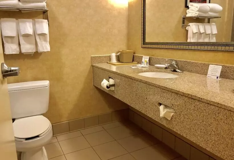 スイート, Comfort Inn & Suites Montgomery Eastchase