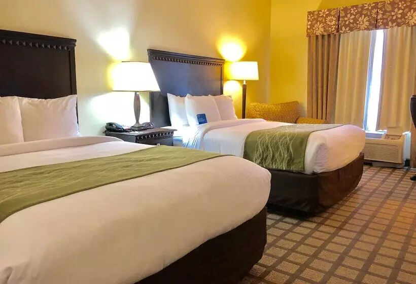 スイート, Comfort Inn & Suites Montgomery Eastchase