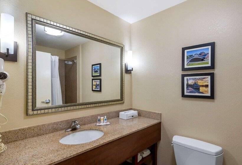 Люкс, Comfort Inn & Suites Montgomery Eastchase