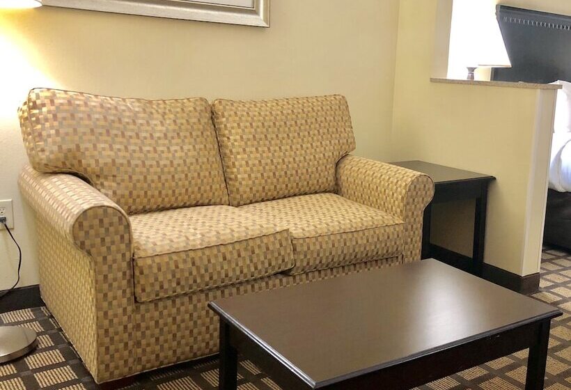 Люкс, Comfort Inn & Suites Montgomery Eastchase