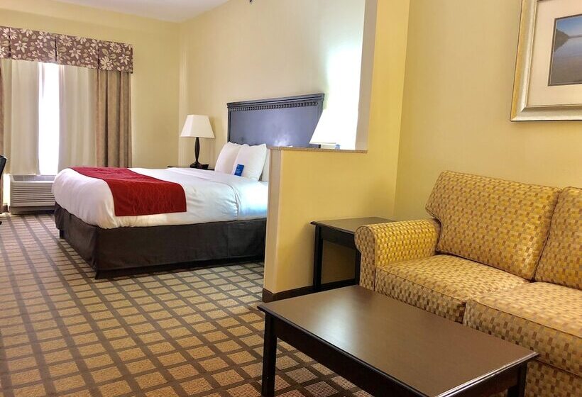 Люкс, Comfort Inn & Suites Montgomery Eastchase