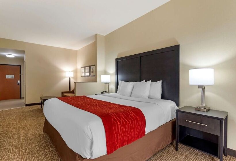 Люкс, Comfort Inn & Suites Montgomery Eastchase