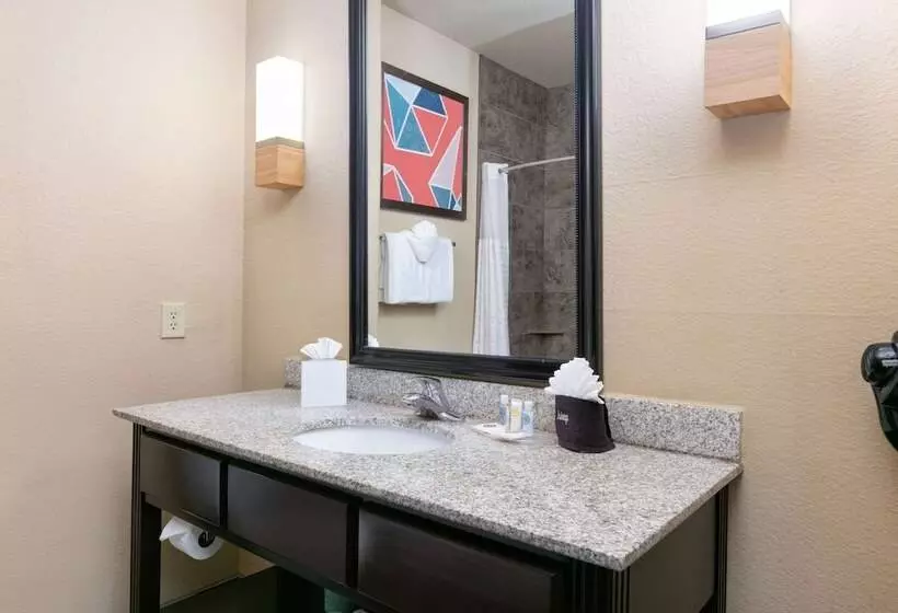 スイート, Comfort Suites Arlington  Entertainment District