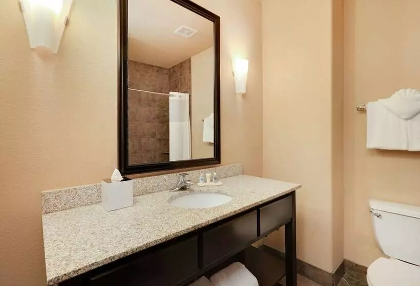 身障者適用スイートルーム, Comfort Suites Arlington  Entertainment District