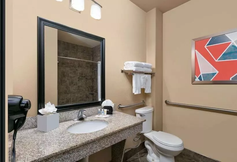 身障者適用スイートルーム, Comfort Suites Arlington  Entertainment District