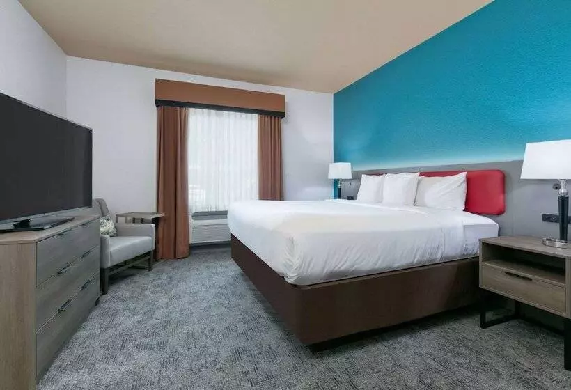 身障者適用スイートルーム, Comfort Suites Arlington  Entertainment District