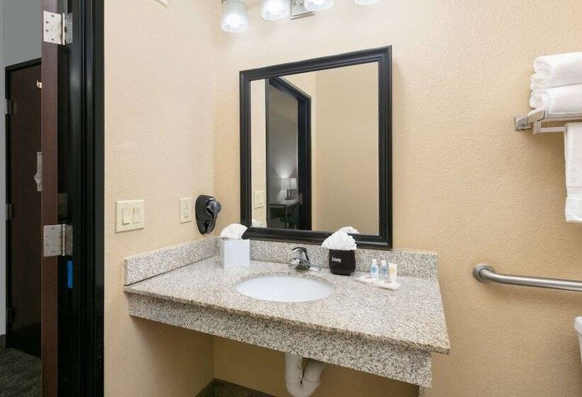 Люкс Адаптированный для Инвалидов, Comfort Suites Arlington  Entertainment District