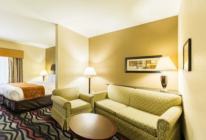 جناح لذوى الاحتياجات الخاصة, Comfort Suites Beaumont I10