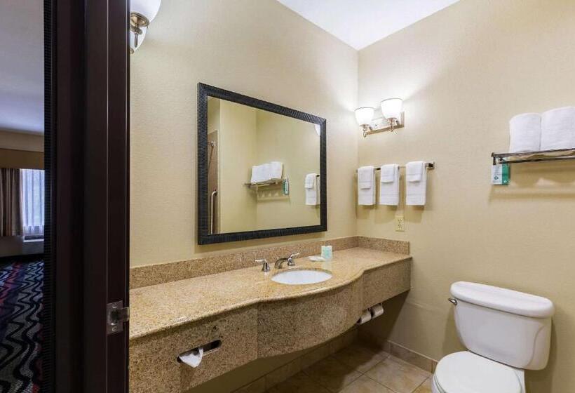 스위트 킹사이즈 침대, Comfort Suites Beaumont I10