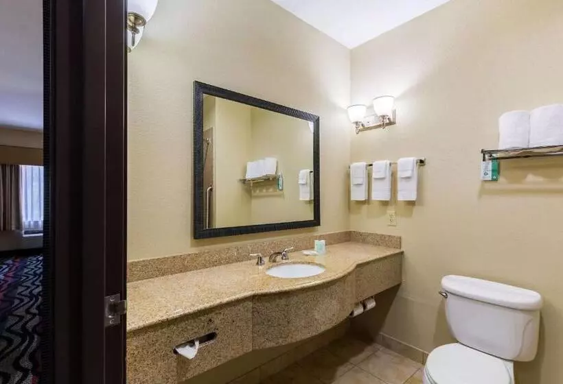 キングサイズベッドのスイートルーム, Comfort Suites Beaumont I10