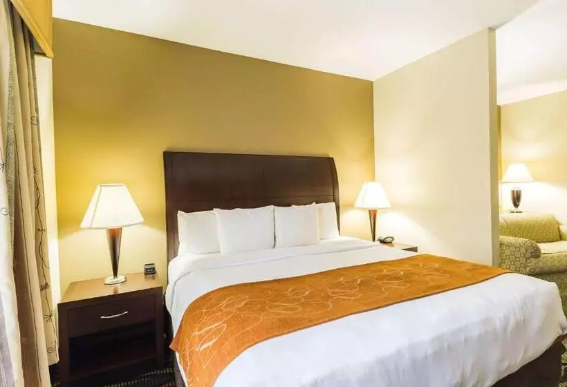 キングサイズベッドのスイートルーム, Comfort Suites Beaumont I10