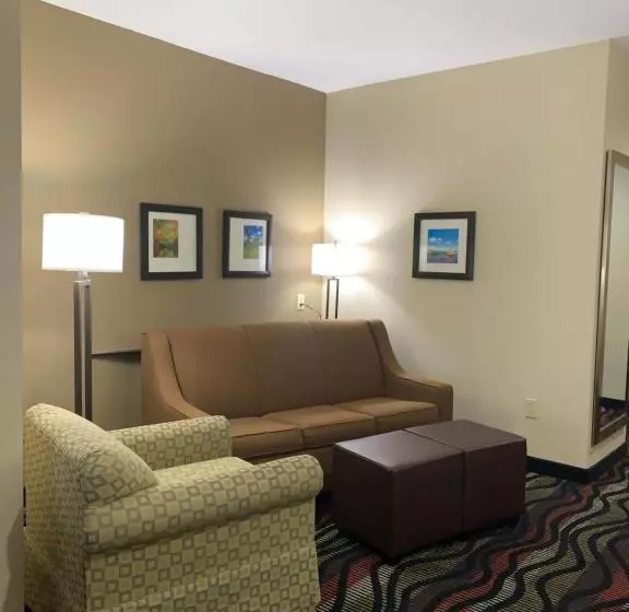 スイート, Comfort Suites Beaumont I10