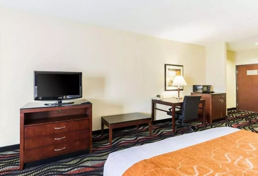 スイート, Comfort Suites Beaumont I10