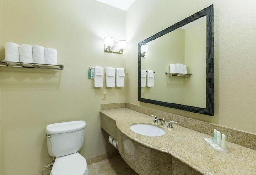 סוויטה, Comfort Suites Beaumont I10