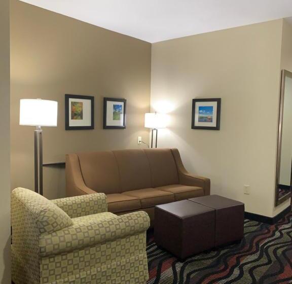 جناح لذوى الاحتياجات الخاصة, Comfort Suites Beaumont I10