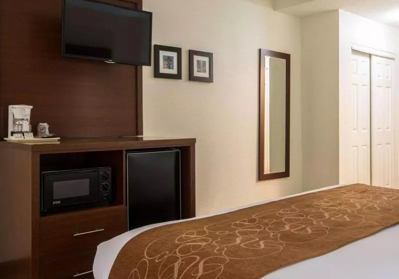 Sviitti King-vuode, Comfort Suites Cummingatlanta Near Northside Hospital Forsyth