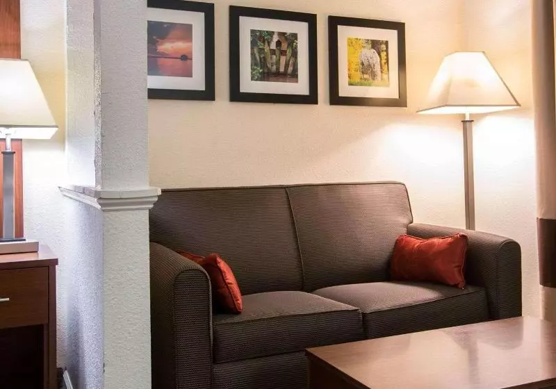 Sviitti King-vuode, Comfort Suites Cummingatlanta Near Northside Hospital Forsyth