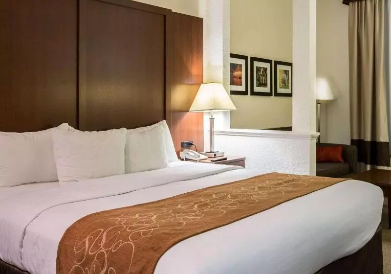 Sviitti King-vuode, Comfort Suites Cummingatlanta Near Northside Hospital Forsyth