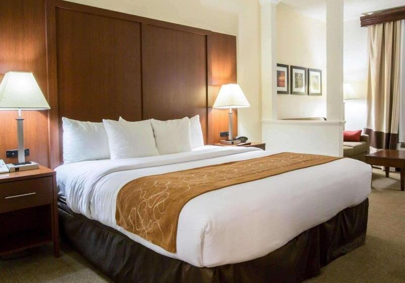 جناح سرير كينج, Comfort Suites Cummingatlanta Near Northside Hospital Forsyth