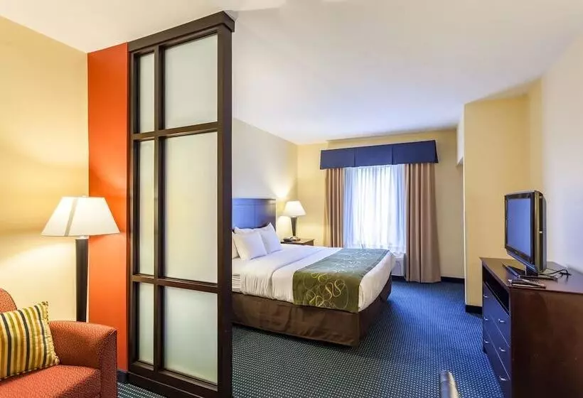 سوییت, Comfort Suites East Lincoln   Mall Area