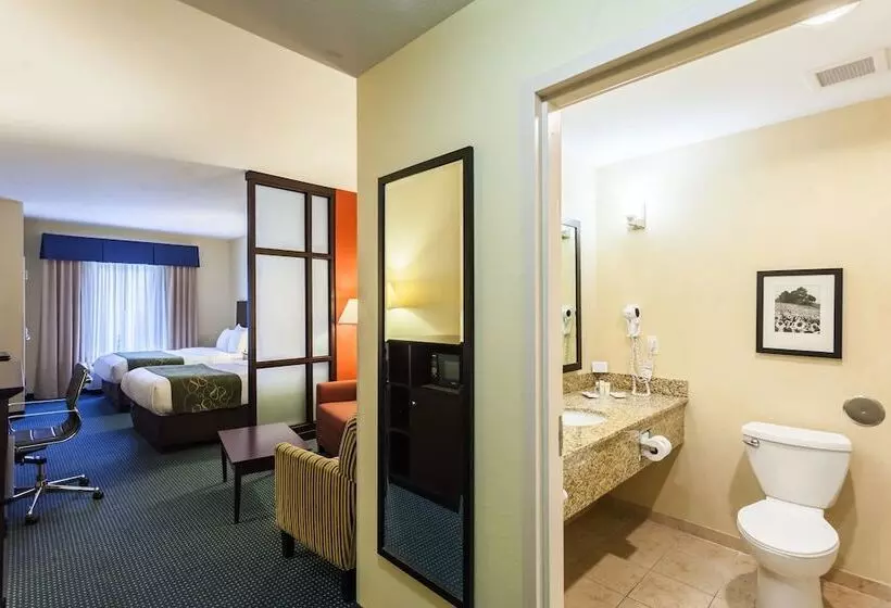 سوییت, Comfort Suites East Lincoln   Mall Area