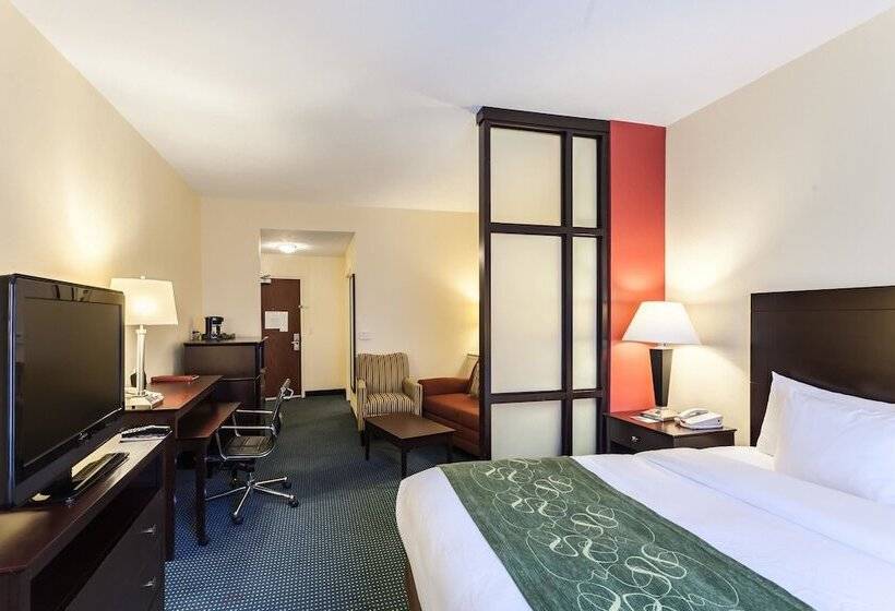 스위트, Comfort Suites East Lincoln Mall Area
