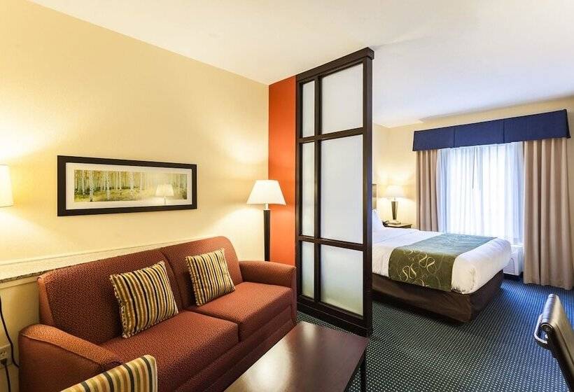 Люкс, Comfort Suites East Lincoln   Mall Area