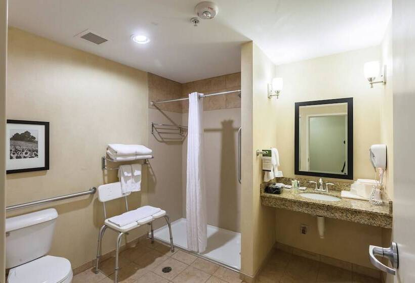 Люкс Адаптированный для Инвалидов, Comfort Suites East Lincoln   Mall Area