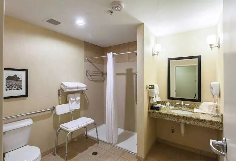 سوئیت برای معلولان, Comfort Suites East Lincoln   Mall Area