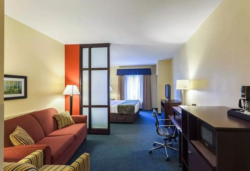 سوئیت برای معلولان, Comfort Suites East Lincoln   Mall Area